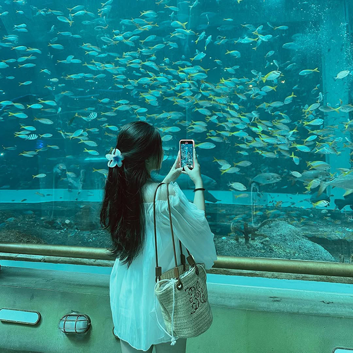 Thế giới cá khổng lồ tại Thủy cung Vinpearl Land Phú Quốc