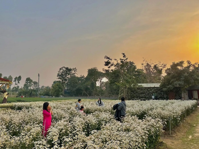 Vườn hoa Bãi Đá Sông Hồng diện tích rộng lớn