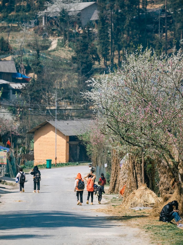 Con đường dẫn vào thị trấn Phó Bảng khi vi vu con đường tơ lụa Hà Giang