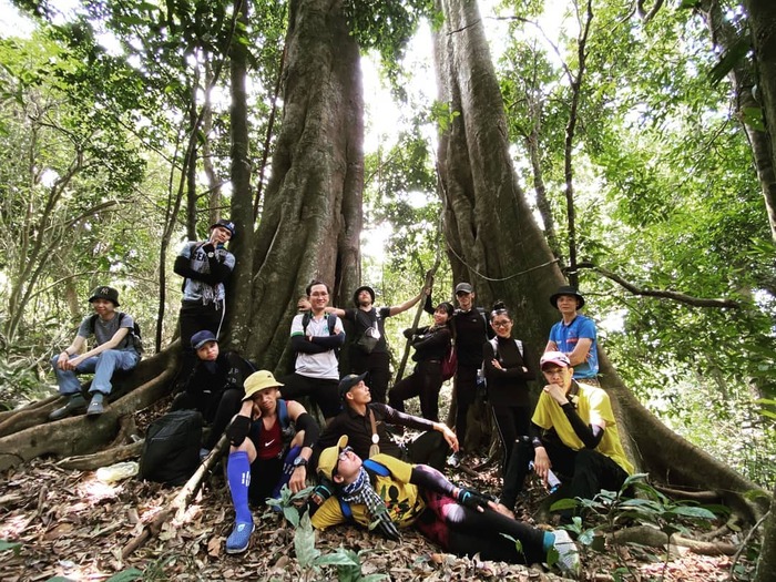 khám phá rừng già hoang sơ tại núi Phụng - địa điểm trekking ở Tây Ninh