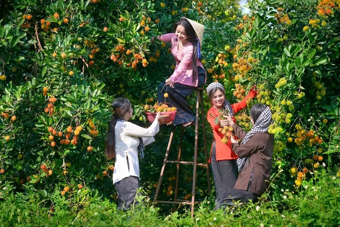 vườn trái cây gần Sài Gòn nổi tiếng