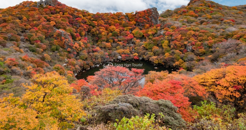 Thời điểm lý tưởng nhất để đi du lịch Oita là vào mùa thu
