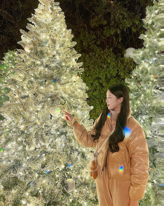 Mùa đông (tháng 12 – tháng 2): Lung linh lễ hội ánh sáng tại công viên