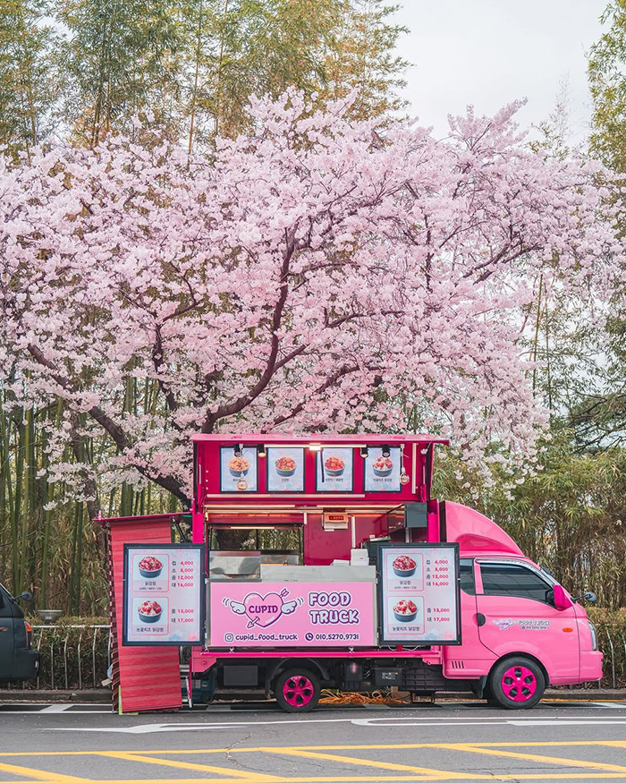 Từ Seoul đến công viên E-World (Daegu)