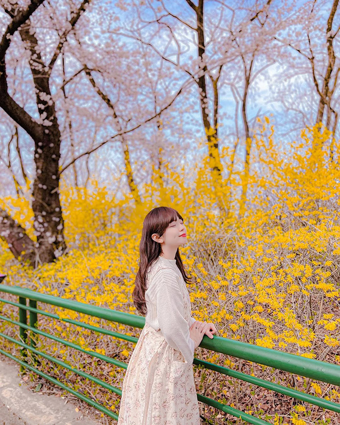 Mùa thu (tháng 9 – tháng 11): Lãng mạn sắc thu vàng tại công viên giải trí e-world hàn quốc