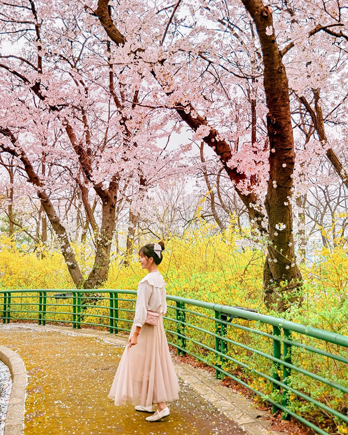 Trải nghiệm nhiều hoạt động thú vị tại công viên giải trí e-world hàn quốc