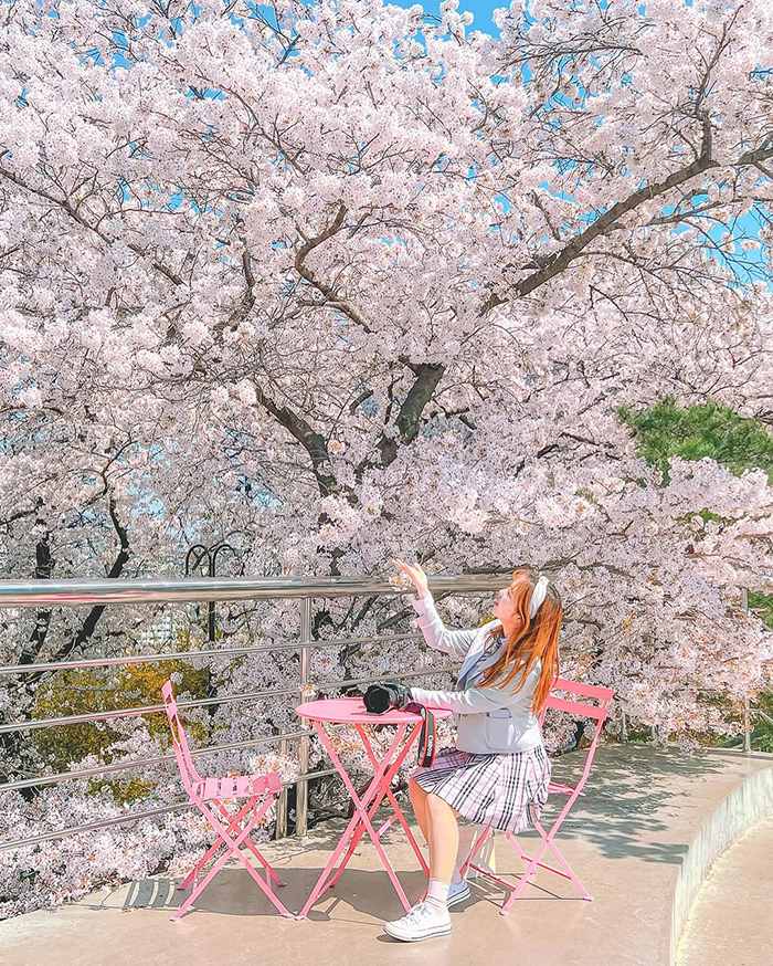 Từ các thành phố khác đến Daegu