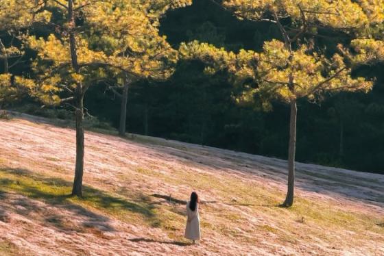 Cẩm nang du lịch Đà Lạt từ A đến Z cho người mới đi lần đầu