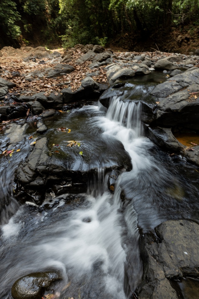 Mực nước xuống thấp trong mùa khô giúp hành trình di chuyển trở nên thuận lợi hơn, tạo điều kiện cho người tham gia khám phá và ghi lại vẻ đẹp của suối rừng.