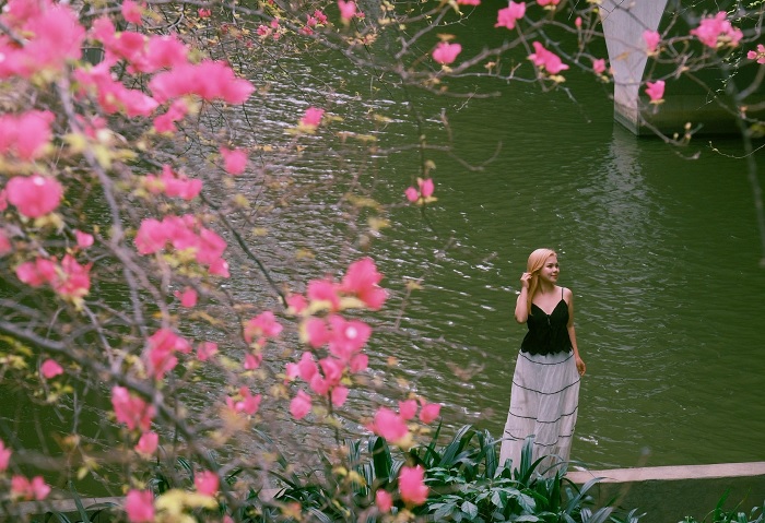 Cầu hoa giấy Ecopark Hưng Yên nằm cách trung tâm Hà Nội không xa