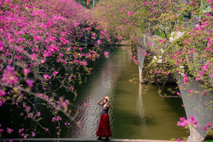 Bạn có thể tới cầu hoa giấy Ecopark Hưng Yên nhanh chóng và dễ dàng