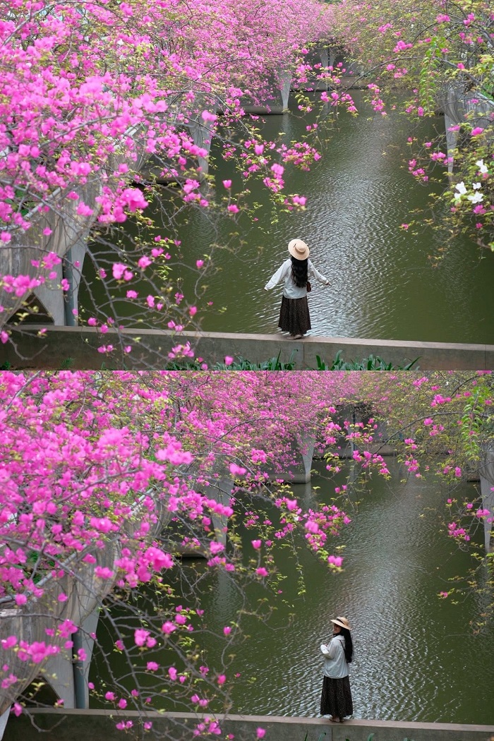 Khung cảnh lãng mạn tại cầu hoa giấy Ecopark Hưng Yên cách Hà Nội không xa