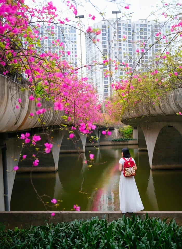 Góc dưới cây cầu hoa giấy Ecopark Hưng Yên lên ảnh đẹp nhất