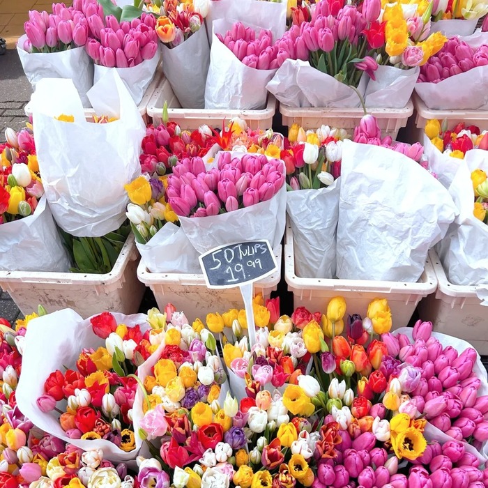 Tìm hiểu văn hóa trồng hoa ở chợ hoa Bloemenmarkt Hà Lan