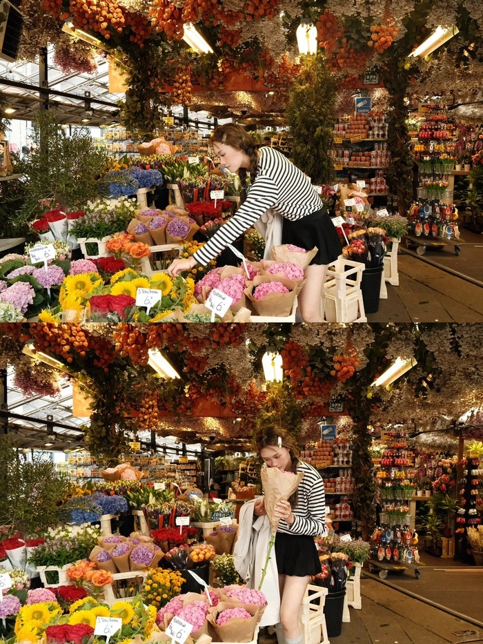 Mua sắm ở chợ hoa Bloemenmarkt Hà Lan