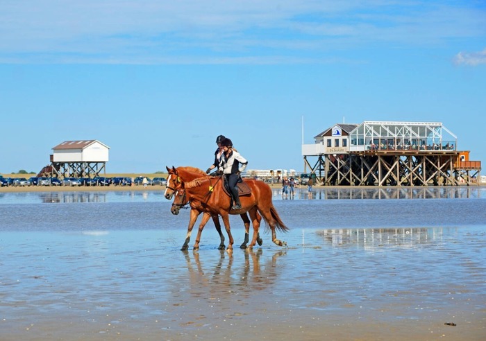 Các bãi biển đẹp ở Đức - Bãi biển vịnh St. Peter-Ording