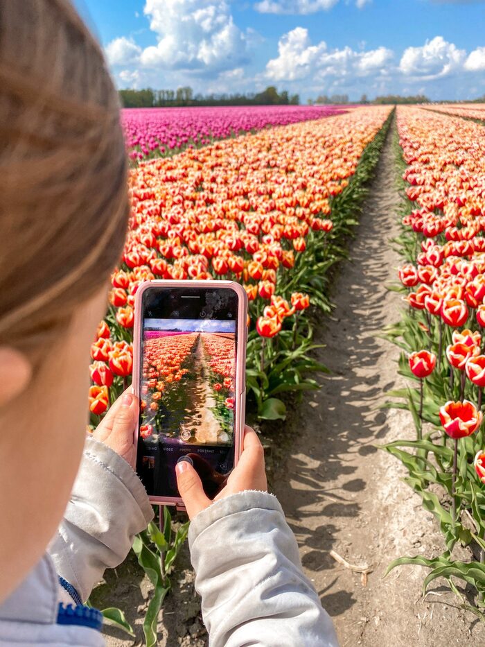 Những điều du khách cần lưu ý khi tham quan các cánh đồng hoa tulip đẹp nhất ở Hà Lan