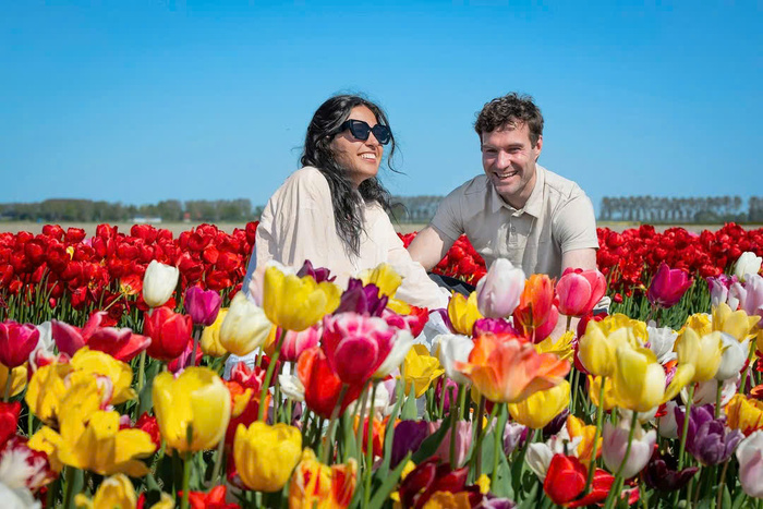 Các cánh đồng hoa tulip đẹp nhất ở Hà Lan - Noordoostpolder