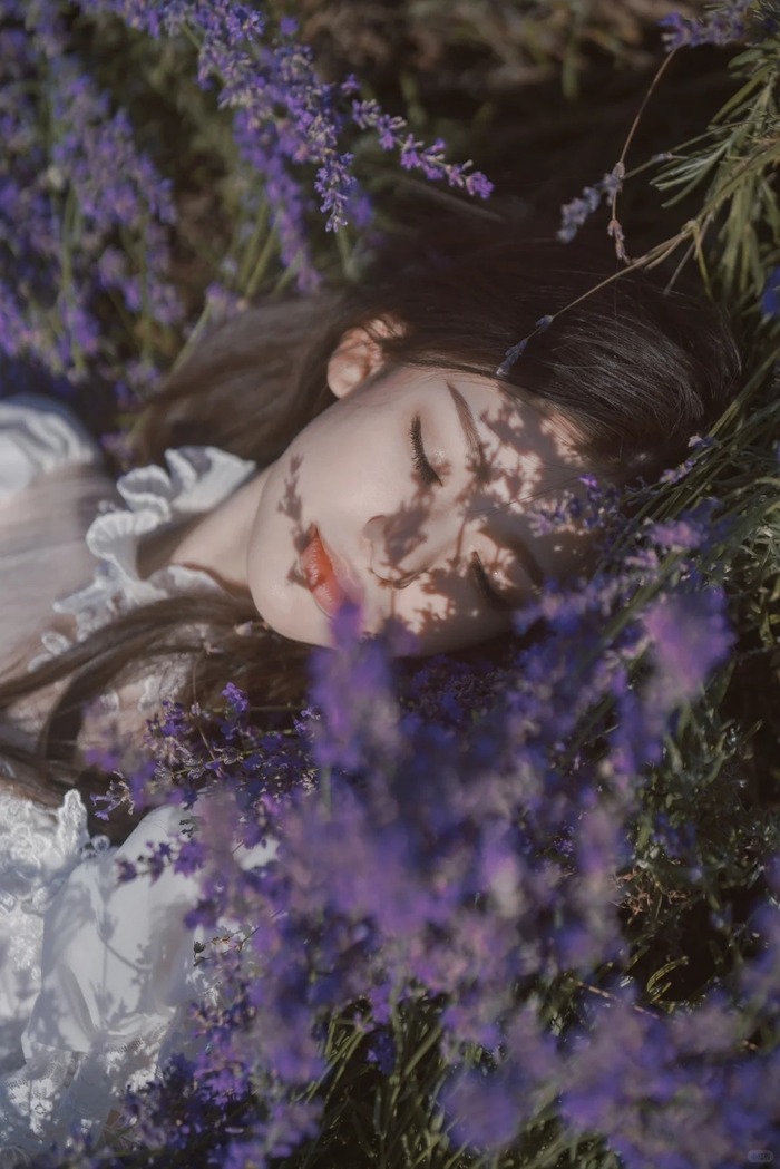 cần lưu ý khi ghé thăm các cánh đồng oải hương đẹp ở Provence Pháp