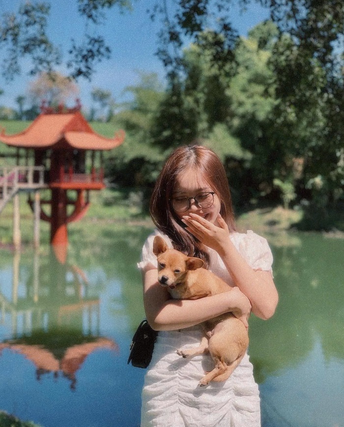 Bỏ túi kinh nghiệm đi tới chùa đẹp ở Bảo Lộc Lâm Đồng