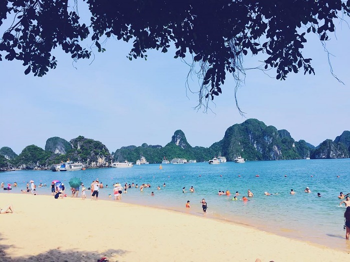 Đảo Ti Tốp Quảng Ninh ở đâu?