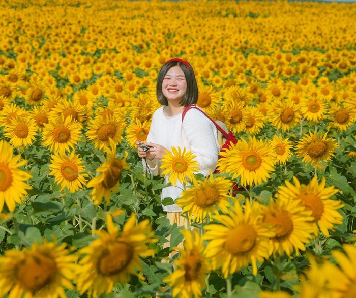 Đắm mình trong sắc hoa tại điểm check in mới ở Đà Nẵng