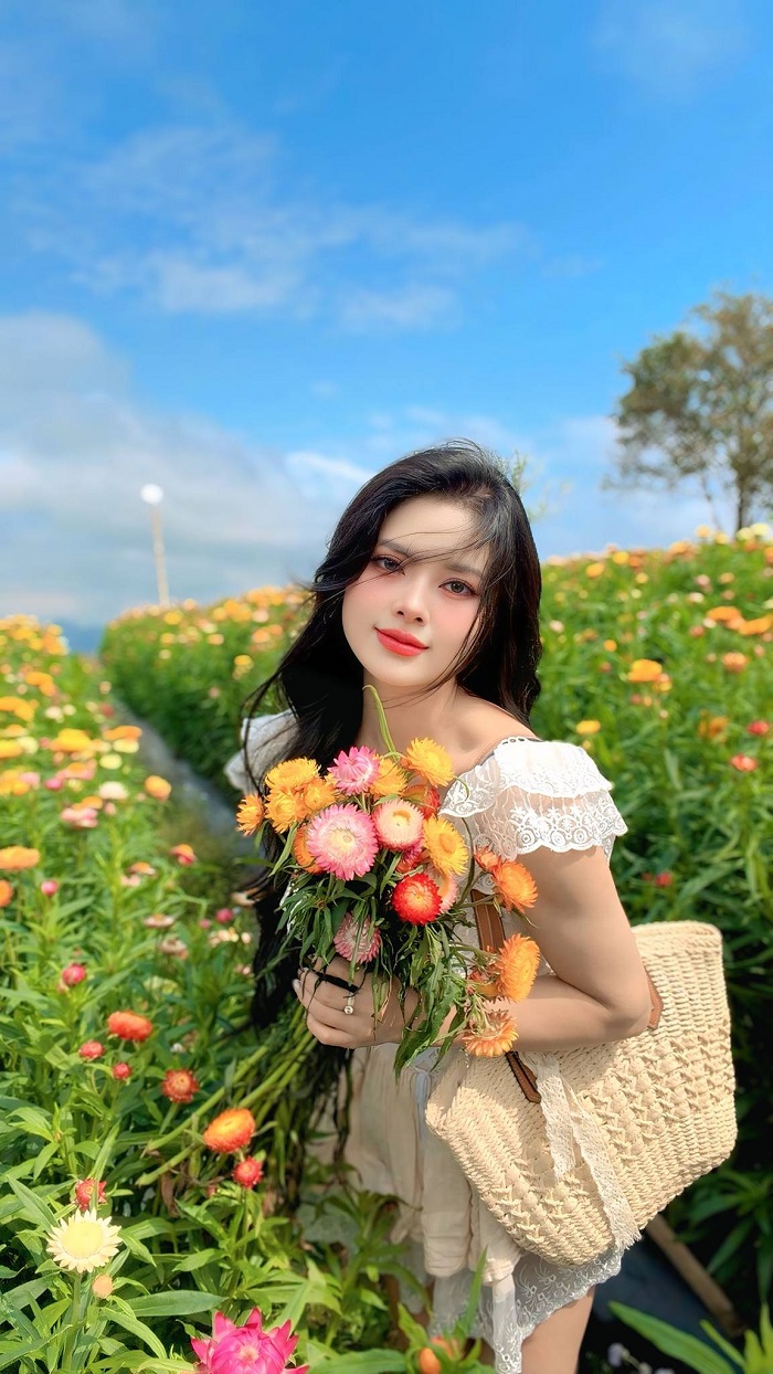 Đồi hoa bất tử Mộc Châu nằm gần Quốc lộ 6