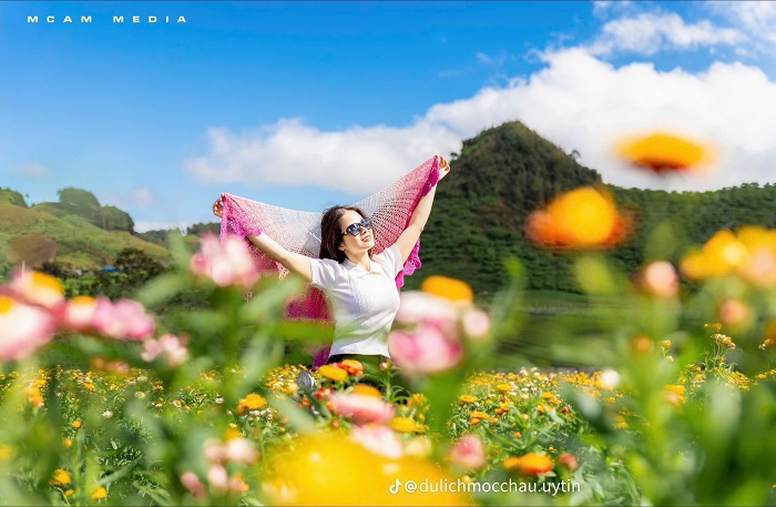 Giữa đất trời, đồi hoa bất tử Mộc Châu lên ảnh cực đẹp
