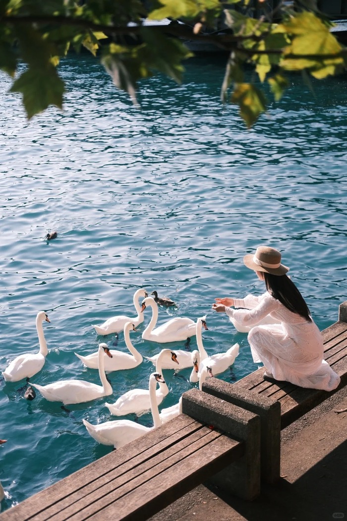 Hồ Zurich Thụy Sĩ nổi tiếng với vẻ đẹp trong trẻo, thơ mộng