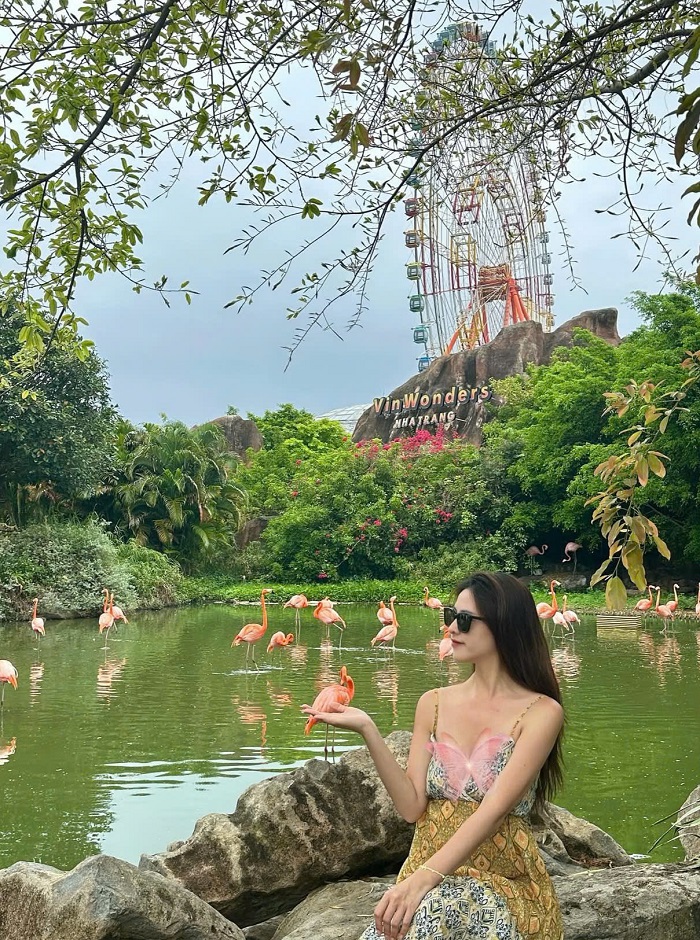 Hòn Tre Nha Trang Đừng bỏ qua các trải nghiệm ở đảo Hòn Tre Nha Trang