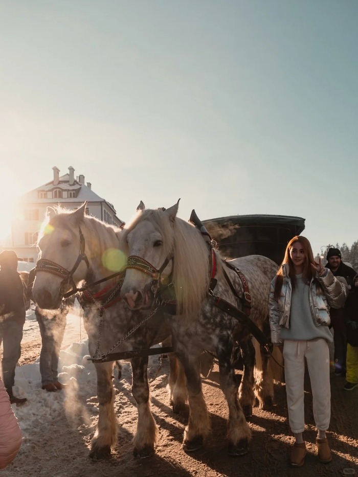 Phương tiện di chuyển đến lâu đài Neuschwanstein Đức là xe ngựa