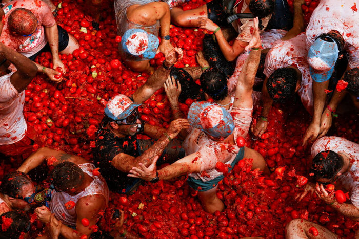 Các lễ hội mùa hè ở châu Âu - Lễ hội cà chua La Tomatina - Tây Ban Nha