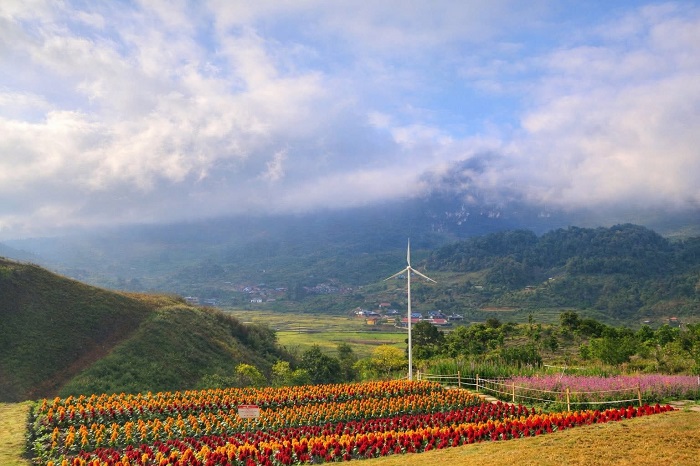 Một Khu Vườn Mộc Châu ở đâu?