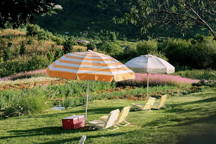 Lưu ý khi khám phá Một Khu Vườn Mộc Châu 