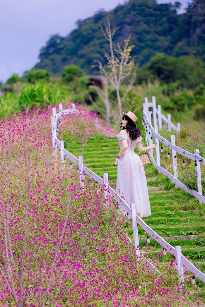 Một Khu Vườn Mộc Châu góc nào lên hình cũng xịn sò