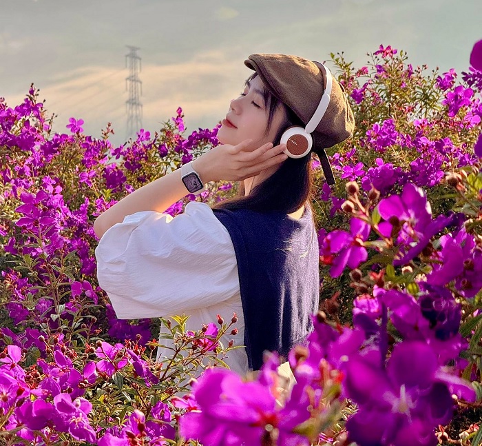 Mùa hoa mua tím Bảo Lộc nở dịp đầu năm.