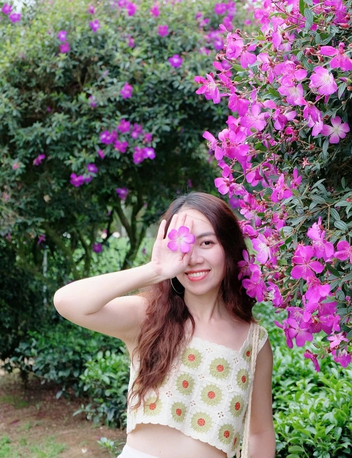 mùa hoa mua tím Bảo Lộc được nhập từ Úc