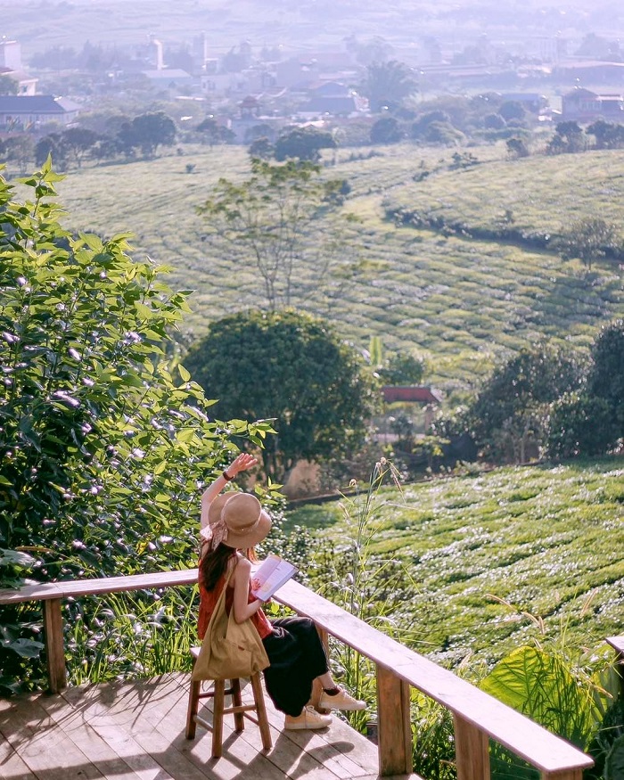 Tiệm cà phê Cánh Cam là quán cà phê đẹp ở Mộc Châu được các bạn trẻ yêu thích