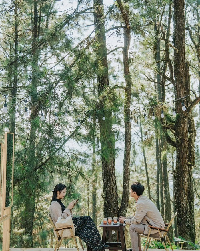 Little Forest Mộc Châu là quán cà phê đẹp ở Mộc Châu vô cùng chill