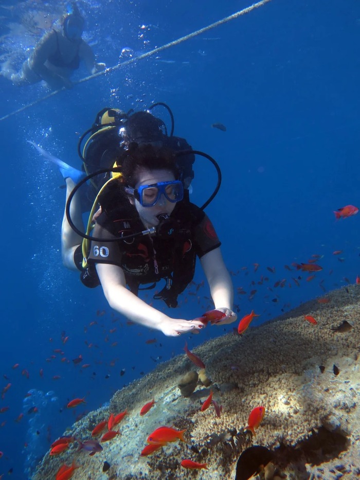 Các địa điểm du lịch nổi tiếng ở thành phố Sharm El Sheikh Ai Cập