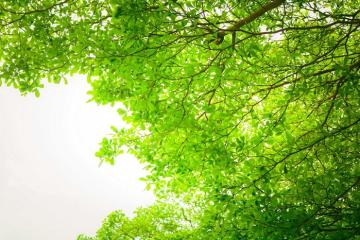 Ngắm nhìn Hà Nội chuyển mình qua khung hình xanh của cô giáo trẻ Thu Thảo