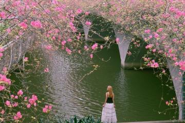 Cầu hoa giấy Ecopark Hưng Yên đẹp như chốn cổ tích, gần sít sịt Hà Nội