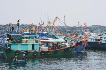 Đảo Bạch Long Vĩ Hải Phòng - Hòn đảo tuyệt đẹp với cảnh biển hoang sơ, thơ mộng