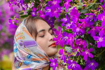Mùa hoa mua tím Bảo Lộc: Bản nhạc hòa ca sắc màu của Tây Nguyên