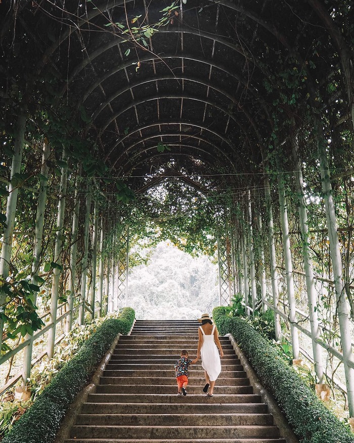 Vườn ươm xương rồng Botanic Garden Thái Lan ở đâu?