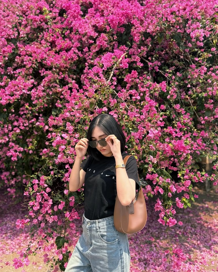 Lưu ý khi khám phá vườn ươm xương rồng Botanic Garden Thái Lan