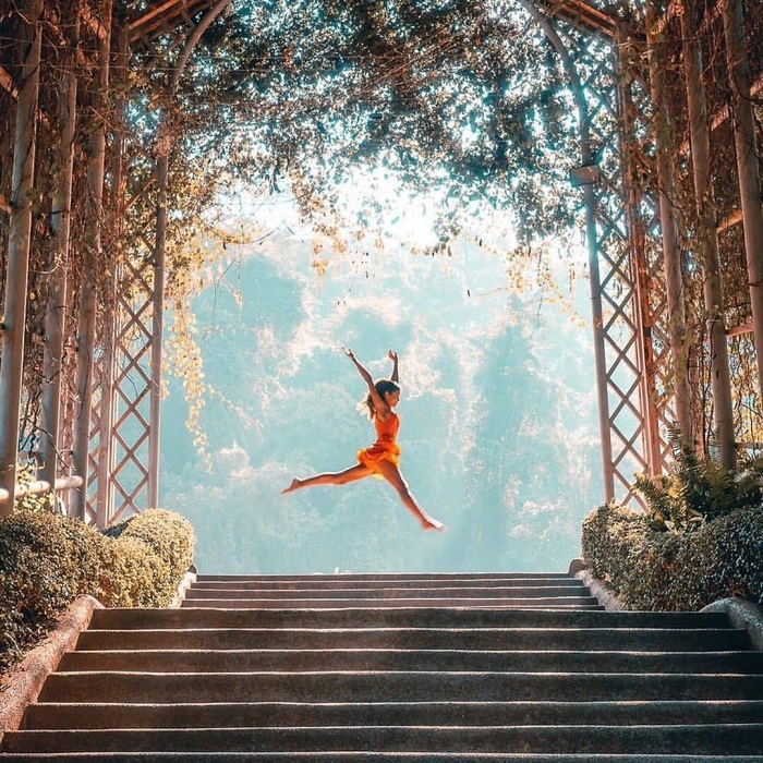 Vườn ươm xương rồng Botanic Garden Thái Lan là vườn thực vật quý hiếm