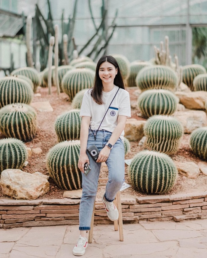 Vườn ươm xương rồng Botanic Garden Thái Lan ngồi vào là có ảnh xịn