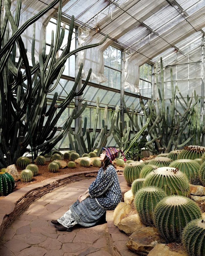 Vườn ươm xương rồng Botanic Garden Thái Lan là điểm đến đẹp ở Chiang Mai