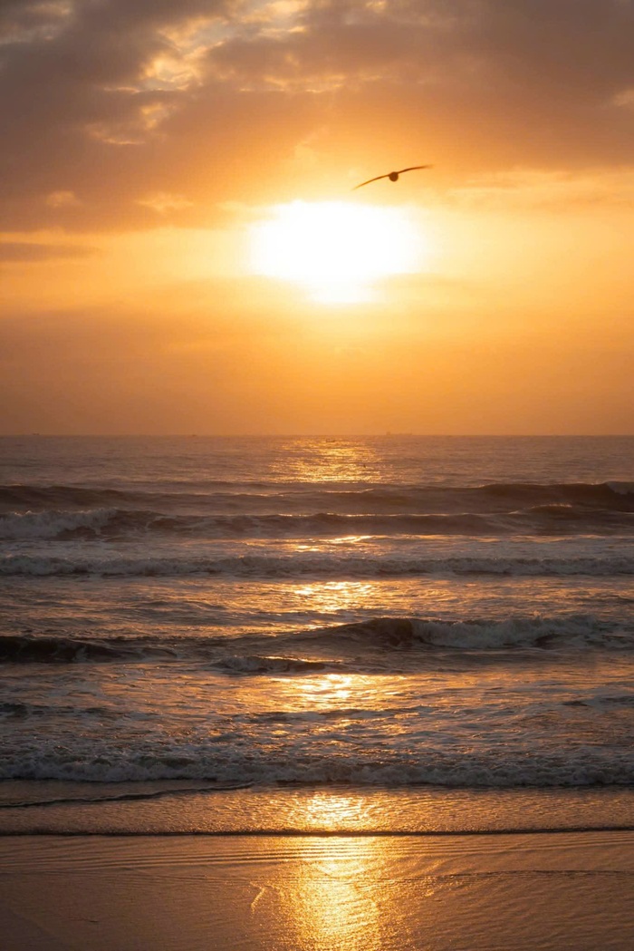 Buổi chiều, khi mặt trời dần khuất sau đường chân trời, mặt biển chuyển sang sắc vàng cam. Ảnh: Tuấn Thành